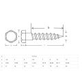 Edelstahl Din571 Hex Head Lag Lag Holzschraube